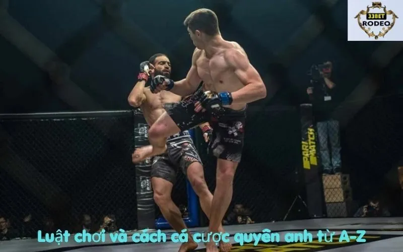 Luật chơi và cách cá cược quyền anh từ A-Z